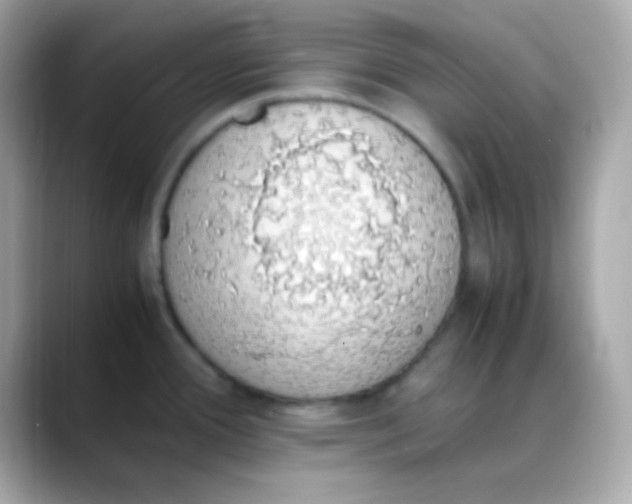 X0000088151388200706042020