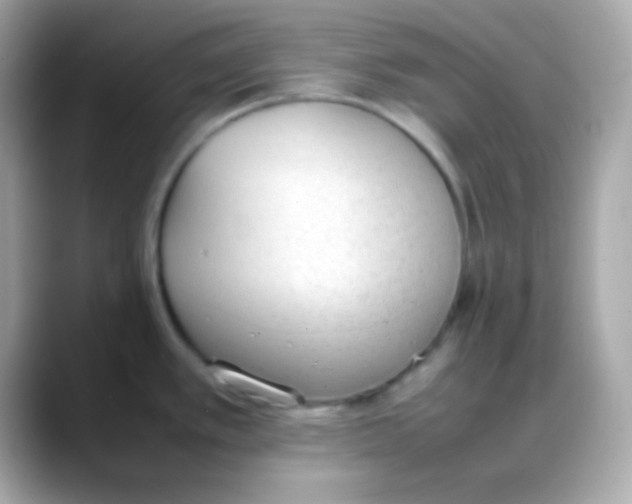 X0000088151389200706042020