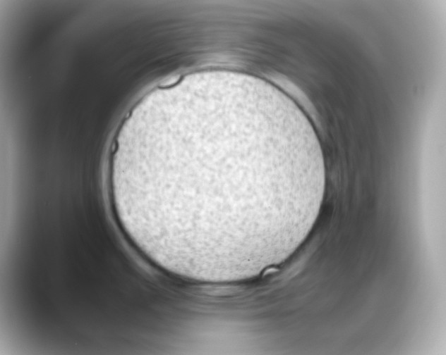 X0000088151391200706042020