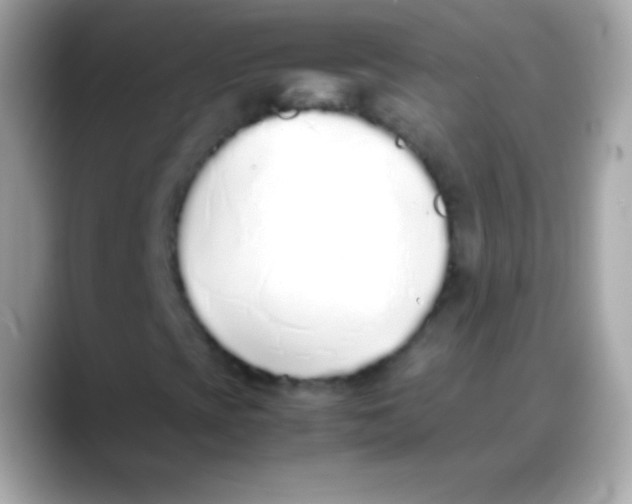 X0000088151393200706042019