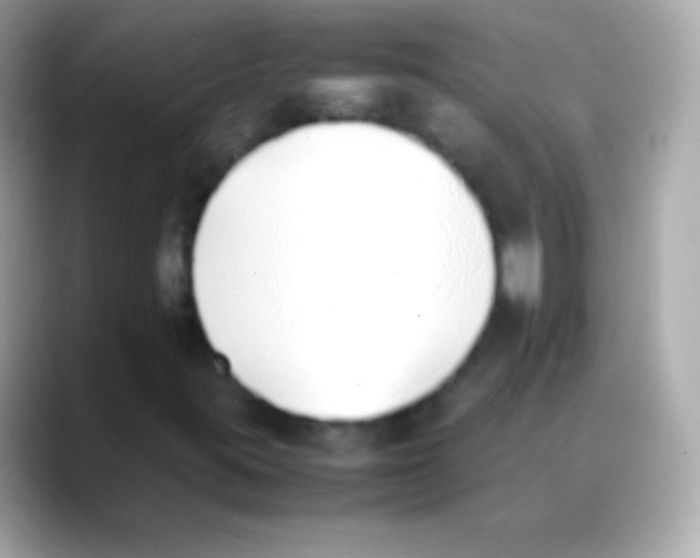 X0000088151395200706042019