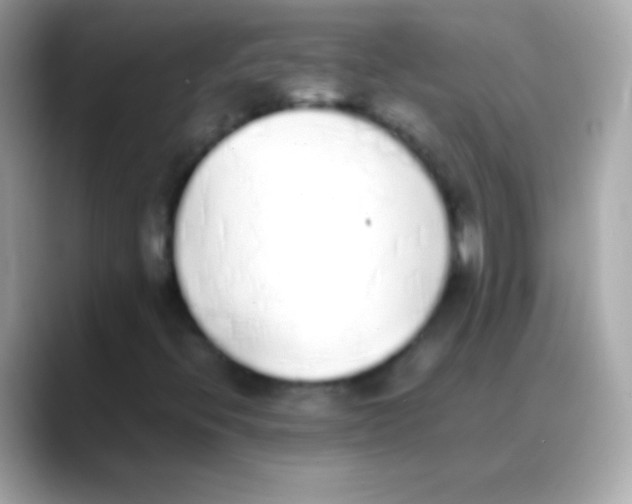 X0000088151396200706042019