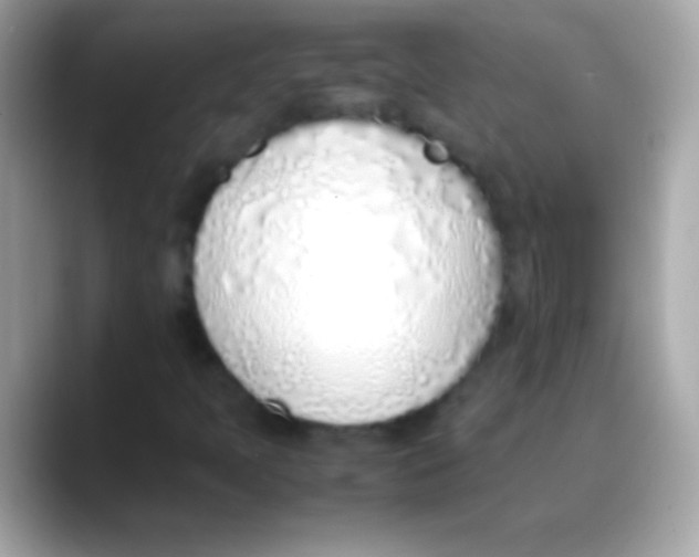 X0000088151397200706042020