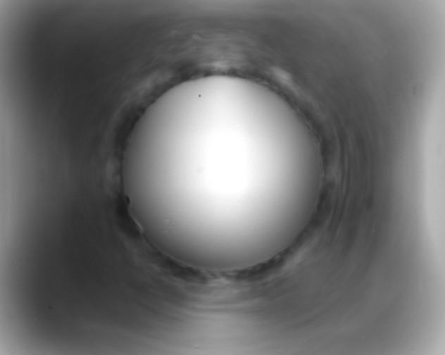 X0000088151398200706042020