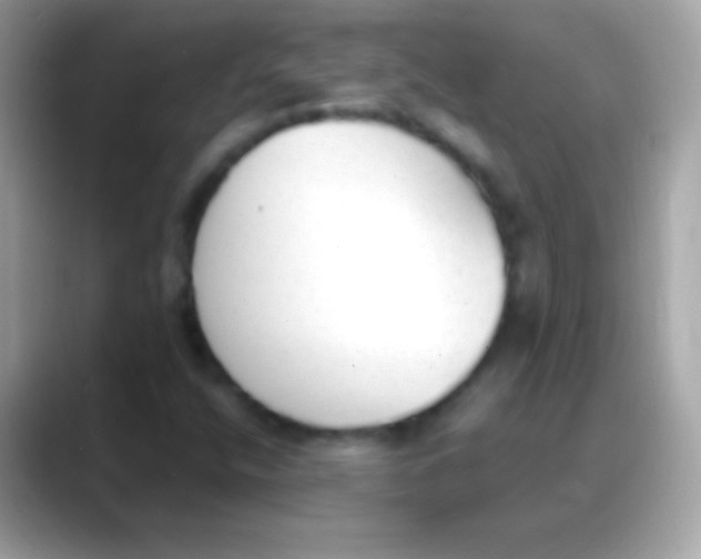 X0000088151400200706042020