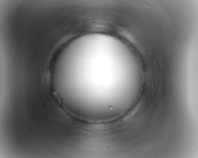 X0000088151402200706042020