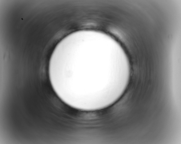 X0000088151403200706042020