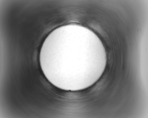 X0000088151404200706042020