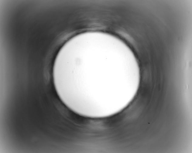 X0000088151407200706042020