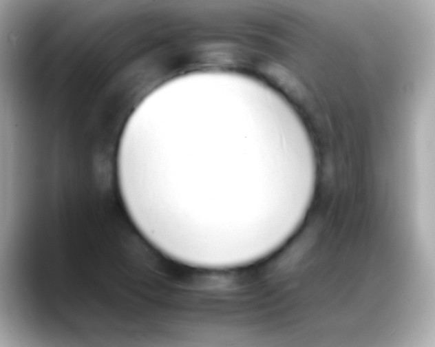 X0000088151409200706042020