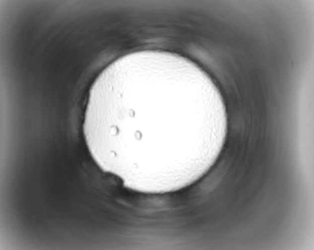 X0000088151411200706042020