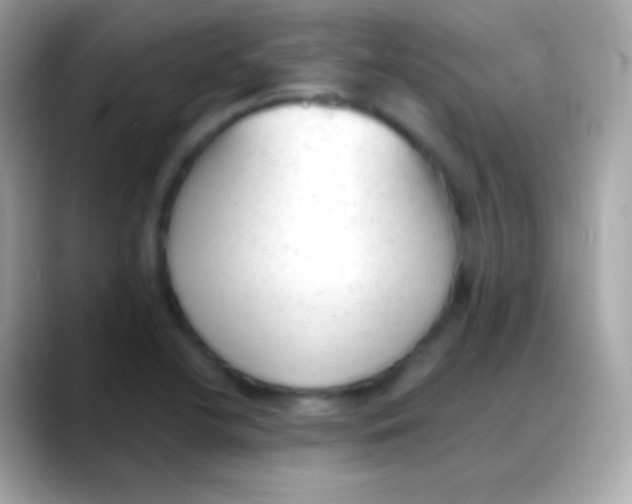 X0000088151412200706042020