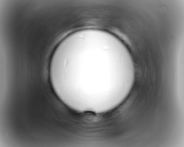 X0000088151415200706042020