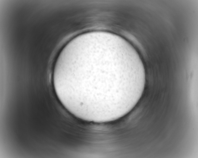 X0000088151416200706042020