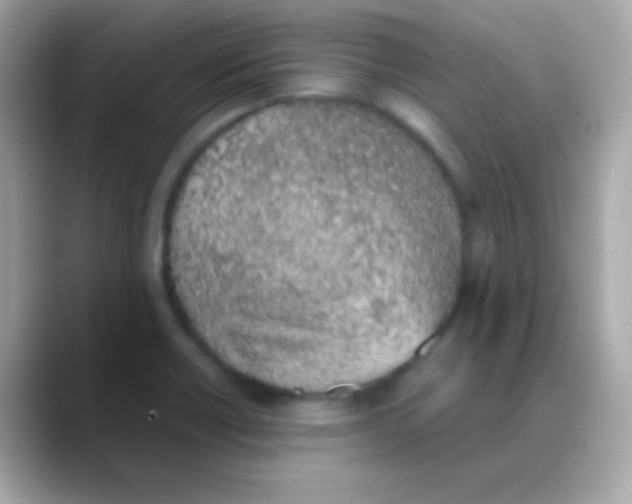 X0000088151418200706042020