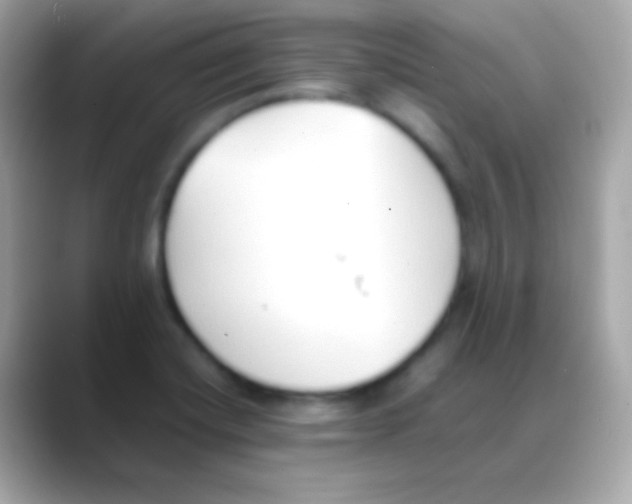 X0000088151420200706042020