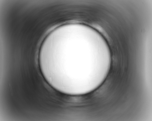 X0000088151421200706042020