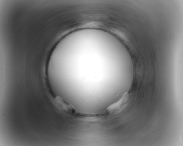 X0000088151422200706042020