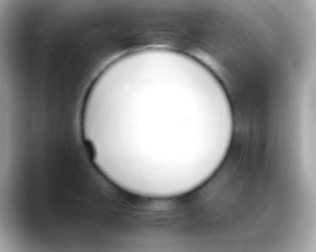 X0000088151423200706042020