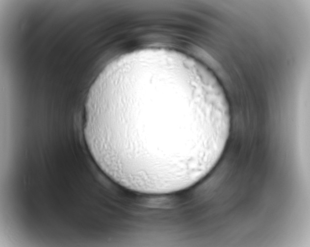 X0000088151425200706042020