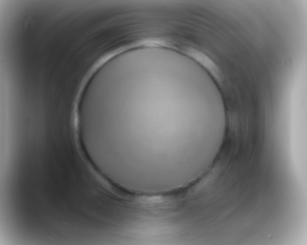 X0000088151428200706042020