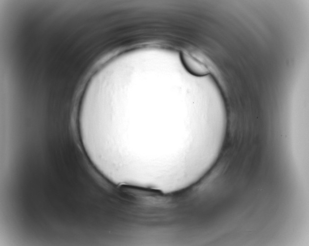 X0000088151429200706042020