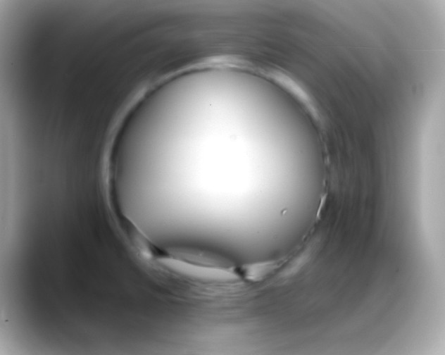 X0000088151430200706042020