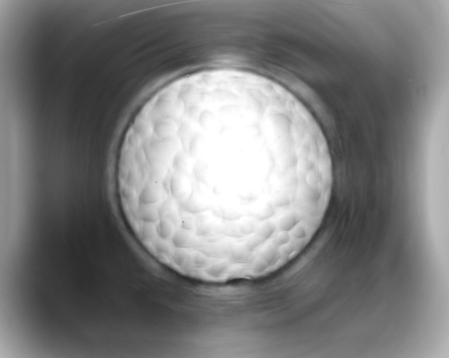 X0000088151432200706042020