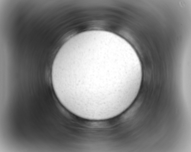 X0000088151433200706042020