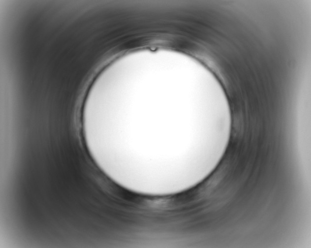 X0000088151435200706042020