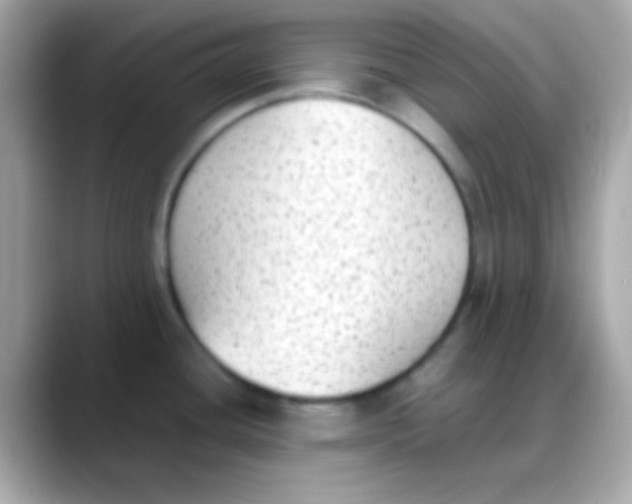 X0000088151436200706042020