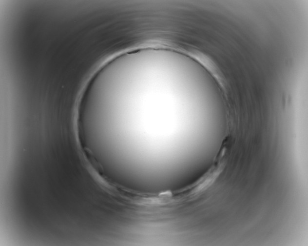 X0000088151438200706042020