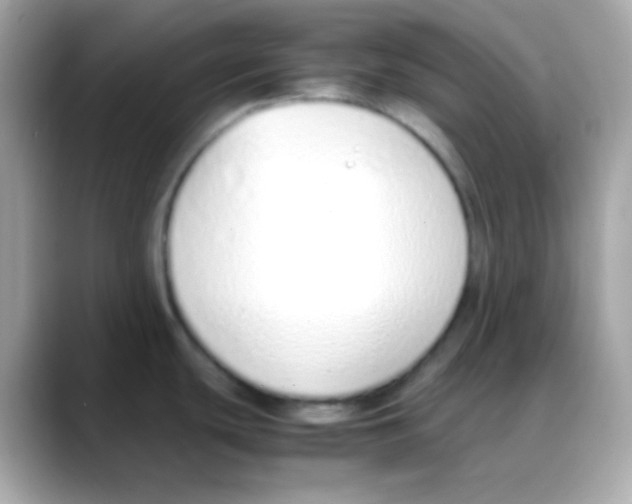 X0000088151439200706042020