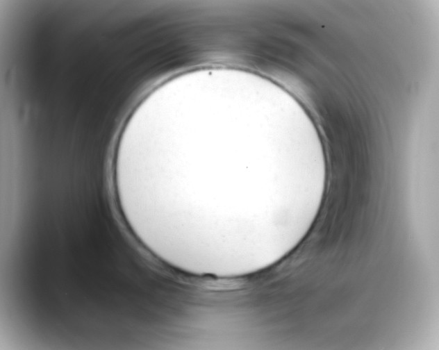 X0000088151440200706042020