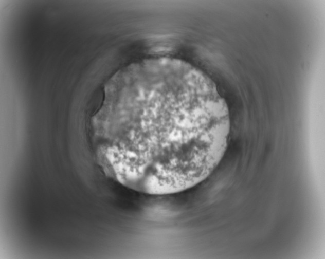 X0000088151441200706042019