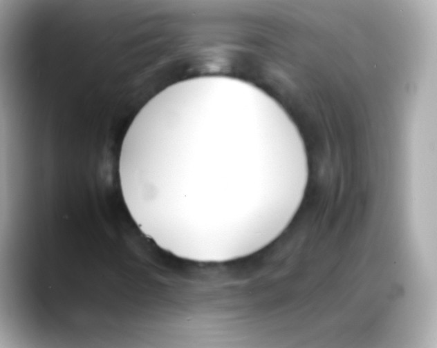 X0000088151442200706042019