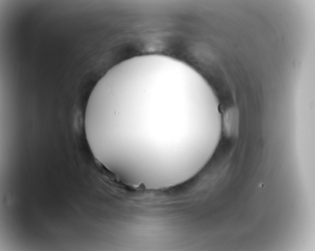 X0000088151443200706042019