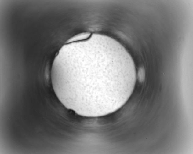 X0000088151444200706042019