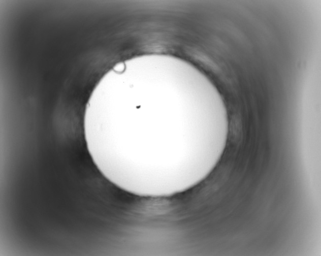 X0000088151446200706042019