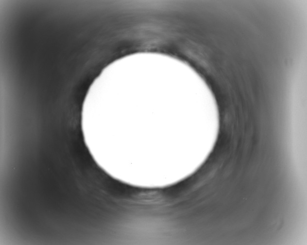 X0000088151447200706042019