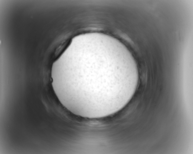 X0000088151448200706042019