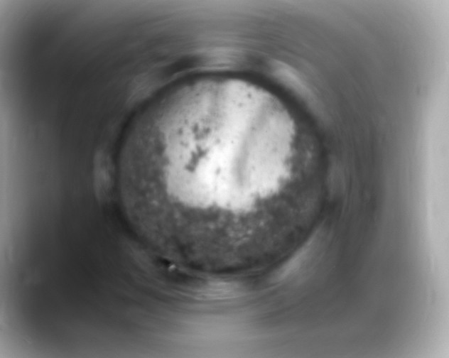 X0000088151449200706042019