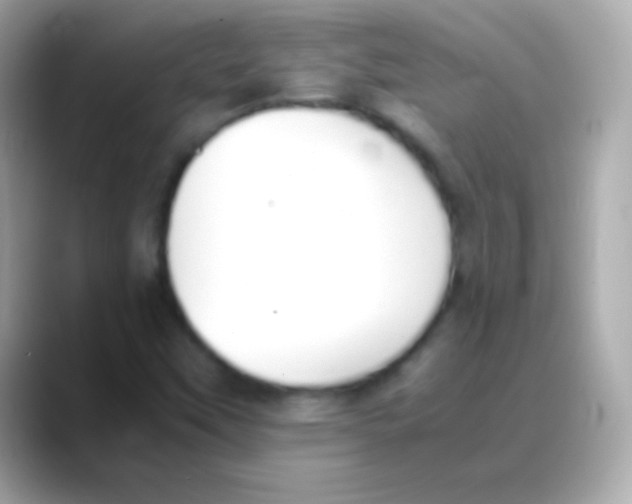 X0000088151451200706042019