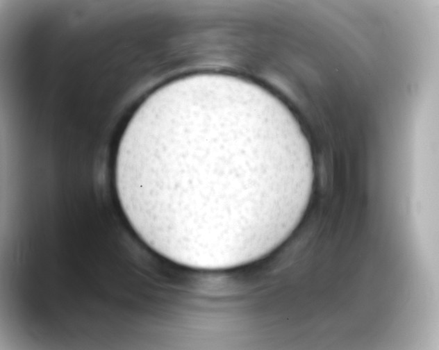 X0000088151452200706042019