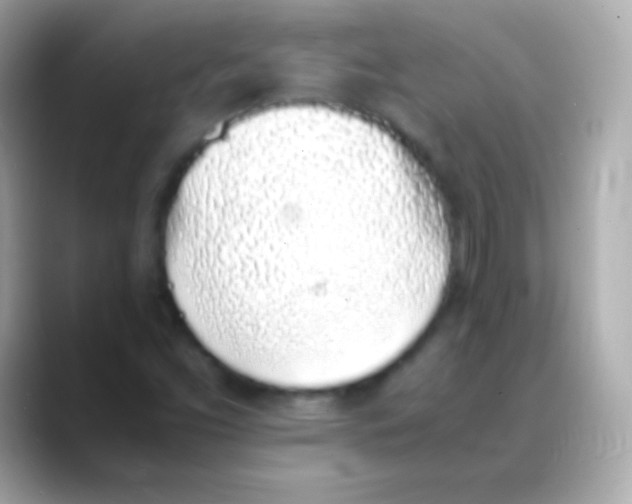 X0000088151453200706042019