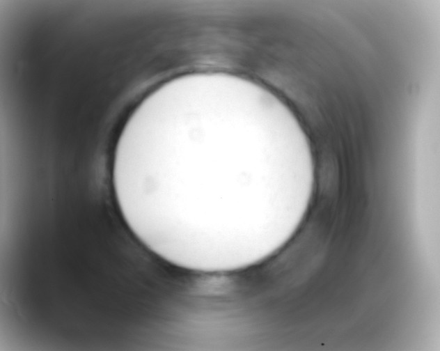 X0000088151454200706042019