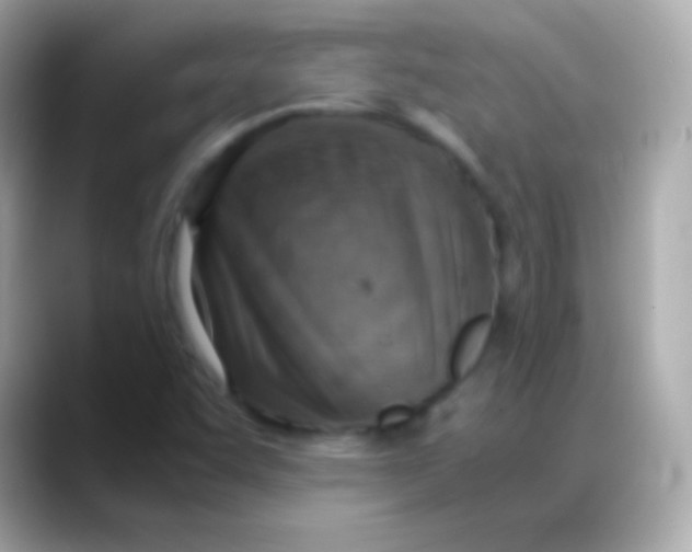 X0000088151455200706042019