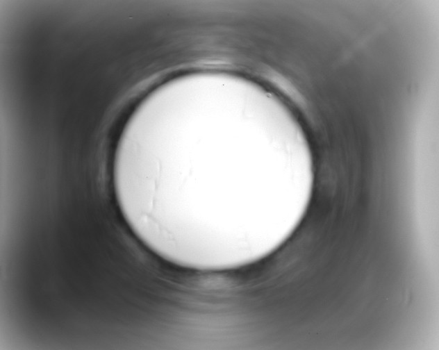 X0000088151456200706042019