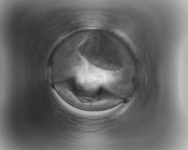 X0000088151457200706042019