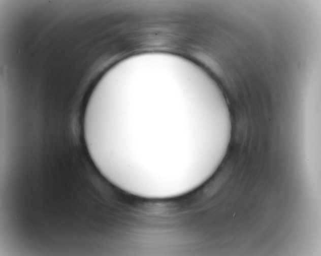 X0000088151458200706042019